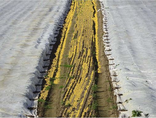 Fotoausstellung »aufdemweg«